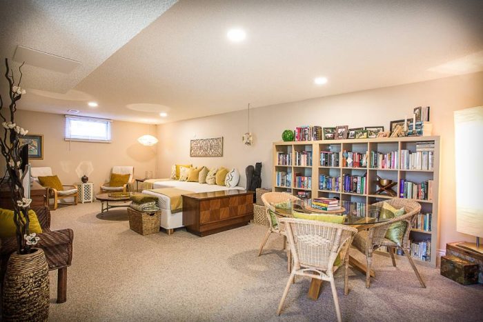 basement renovation 1
